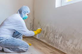 Trusted Valley View, PA Mold Prevention & Removal  Experts